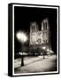 Notre Dame-Craig Roberts-Framed Stretched Canvas