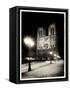 Notre Dame-Craig Roberts-Framed Stretched Canvas