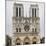 Notre Dame-Tosh-Mounted Art Print
