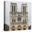 Notre Dame-Tosh-Stretched Canvas