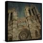 Notre Dame-John W Golden-Stretched Canvas