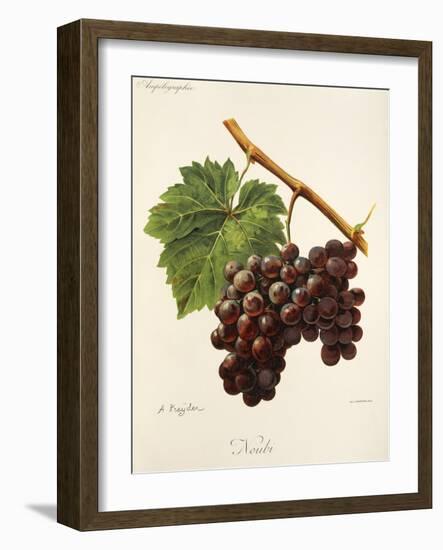 Noubi Grape-A. Kreyder-Framed Giclee Print