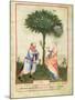 Nouv Acq Lat 1673 Fol.18 Harvesting Lemons, from 'Tacuinum Sanitatis', C.1390-1400-Italian School-Mounted Giclee Print
