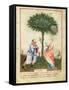 Nouv Acq Lat 1673 Fol.18 Harvesting Lemons, from 'Tacuinum Sanitatis', C.1390-1400-Italian School-Framed Stretched Canvas