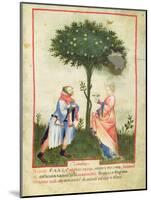 Nouv Acq Lat 1673 Fol.18 Harvesting Lemons, from 'Tacuinum Sanitatis', C.1390-1400-Italian School-Mounted Giclee Print