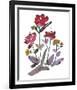 Nouveau Boheme - Island Series No. 2-Kiana Mosley-Framed Art Print