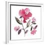 Nouveau Boheme - Peony-Kiana Mosley-Framed Art Print