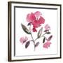 Nouveau Boheme - Peony-Kiana Mosley-Framed Art Print