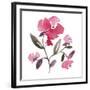 Nouveau Boheme - Peony-Kiana Mosley-Framed Art Print