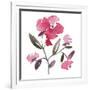 Nouveau Boheme - Peony-Kiana Mosley-Framed Art Print