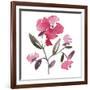 Nouveau Boheme - Peony-Kiana Mosley-Framed Art Print