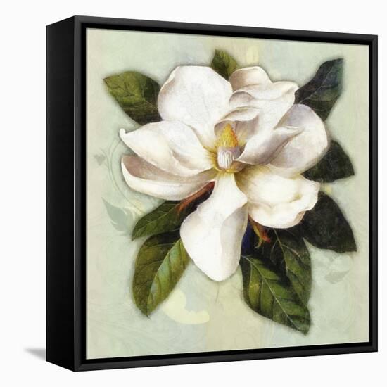 Nouveau Botanica-Tina Lavoie-Framed Stretched Canvas