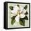 Nouveau Botanica-Tina Lavoie-Framed Stretched Canvas