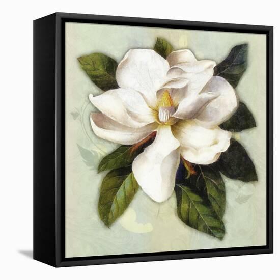 Nouveau Botanica-Tina Lavoie-Framed Stretched Canvas