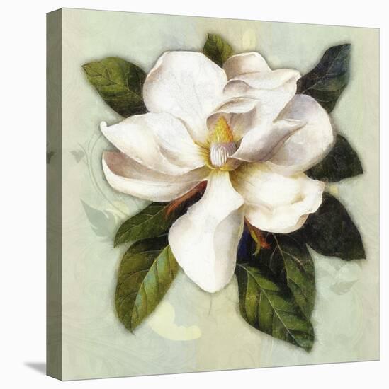 Nouveau Botanica-Tina Lavoie-Stretched Canvas