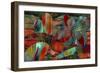 Nouveau Riche-Mindy Sommers-Framed Giclee Print