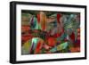 Nouveau Riche-Mindy Sommers-Framed Giclee Print