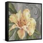 Nouveau Yellow Peony-Bill Jackson-Framed Stretched Canvas