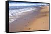 Nova Scotia, beach near the Cabot Trail, Cape Breton-Patrick J. Wall-Framed Stretched Canvas