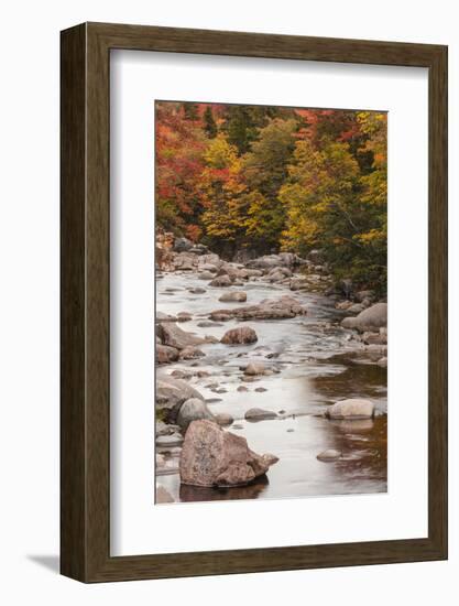 Nova Scotia, Cabot Trail. Neils Harbour, Cape Breton Highlands National Park-Walter Bibikow-Framed Photographic Print