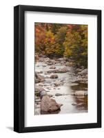 Nova Scotia, Cabot Trail. Neils Harbour, Cape Breton Highlands National Park-Walter Bibikow-Framed Photographic Print