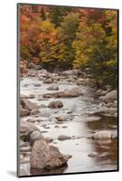 Nova Scotia, Cabot Trail. Neils Harbour, Cape Breton Highlands National Park-Walter Bibikow-Mounted Photographic Print