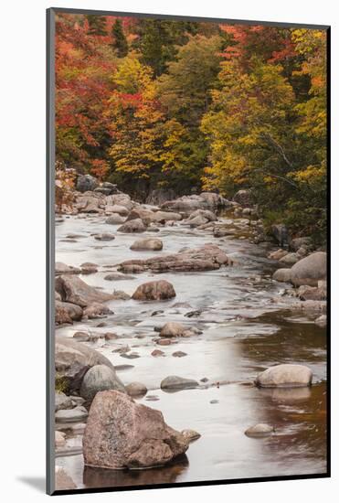 Nova Scotia, Cabot Trail. Neils Harbour, Cape Breton Highlands National Park-Walter Bibikow-Mounted Photographic Print