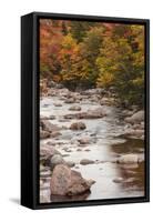 Nova Scotia, Cabot Trail. Neils Harbour, Cape Breton Highlands National Park-Walter Bibikow-Framed Stretched Canvas