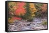 Nova Scotia, Cabot Trail. Neils Harbour, Cape Breton Highlands National Park-Walter Bibikow-Framed Stretched Canvas