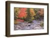 Nova Scotia, Cabot Trail. Neils Harbour, Cape Breton Highlands National Park-Walter Bibikow-Framed Photographic Print