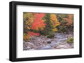 Nova Scotia, Cabot Trail. Neils Harbour, Cape Breton Highlands National Park-Walter Bibikow-Framed Photographic Print