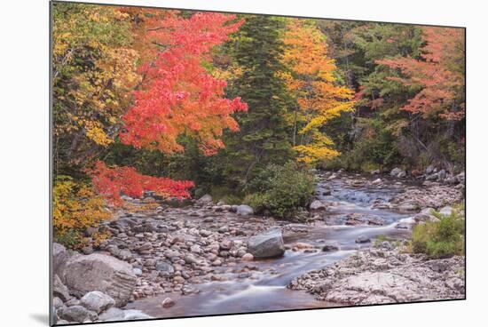 Nova Scotia, Cabot Trail. Neils Harbour, Cape Breton Highlands National Park-Walter Bibikow-Mounted Photographic Print