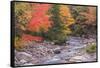 Nova Scotia, Cabot Trail. Neils Harbour, Cape Breton Highlands National Park-Walter Bibikow-Framed Stretched Canvas