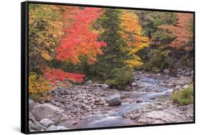 Nova Scotia, Cabot Trail. Neils Harbour, Cape Breton Highlands National Park-Walter Bibikow-Framed Stretched Canvas