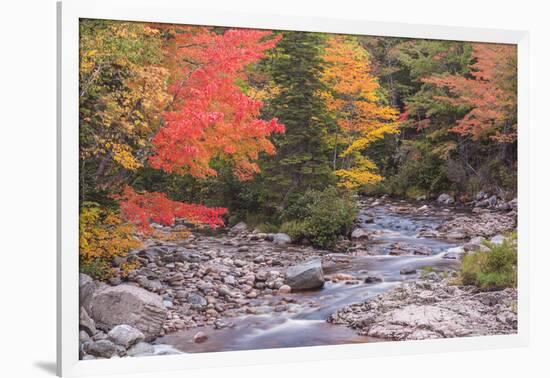 Nova Scotia, Cabot Trail. Neils Harbour, Cape Breton Highlands National Park-Walter Bibikow-Framed Photographic Print