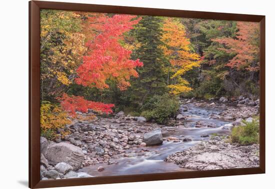 Nova Scotia, Cabot Trail. Neils Harbour, Cape Breton Highlands National Park-Walter Bibikow-Framed Photographic Print