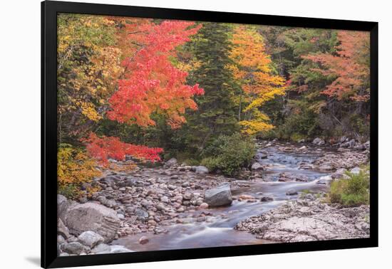 Nova Scotia, Cabot Trail. Neils Harbour, Cape Breton Highlands National Park-Walter Bibikow-Framed Photographic Print