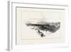 Nova Scotia, Chester, Canada, Nineteenth Century-null-Framed Giclee Print