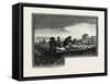 Nova Scotia, Drying Codfish, Canada, Nineteenth Century-null-Framed Stretched Canvas