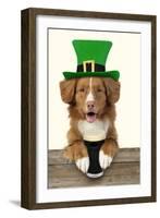 Nova Scotia Duck Tolling Retriever Sitting-null-Framed Photographic Print