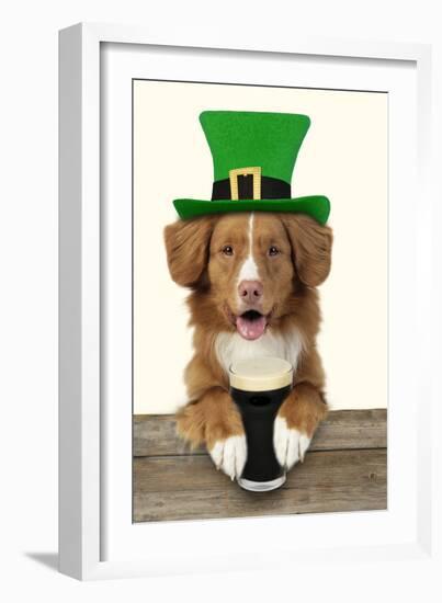 Nova Scotia Duck Tolling Retriever Sitting-null-Framed Photographic Print