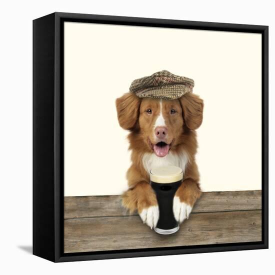 Nova Scotia Duck Tolling Retriever Wearing-null-Framed Stretched Canvas