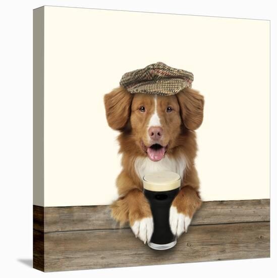 Nova Scotia Duck Tolling Retriever Wearing-null-Stretched Canvas