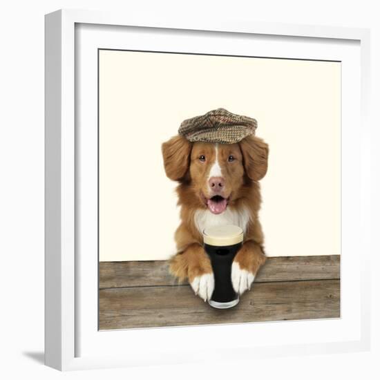 Nova Scotia Duck Tolling Retriever Wearing-null-Framed Photographic Print