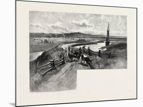 Nova Scotia, Dyke Lands, Canada, Nineteenth Century-null-Mounted Giclee Print