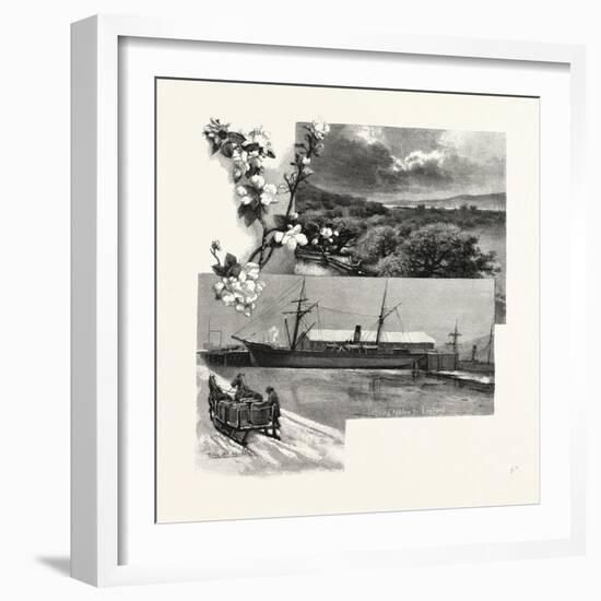 Nova Scotia, in the Annapolis Valley, Canada, Nineteenth Century-null-Framed Giclee Print