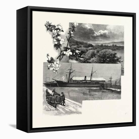 Nova Scotia, in the Annapolis Valley, Canada, Nineteenth Century-null-Framed Stretched Canvas