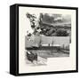 Nova Scotia, in the Annapolis Valley, Canada, Nineteenth Century-null-Framed Stretched Canvas