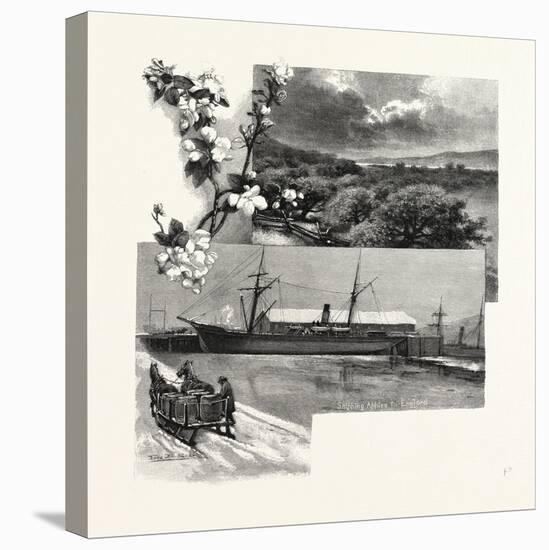 Nova Scotia, in the Annapolis Valley, Canada, Nineteenth Century-null-Stretched Canvas