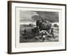 Nova Scotia, on the Tantramar Marshes, Canada, Nineteenth Century-null-Framed Giclee Print